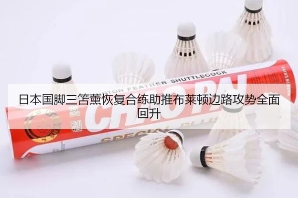 日本国脚三笘薰恢复合练助推布莱顿边路攻势全面回升